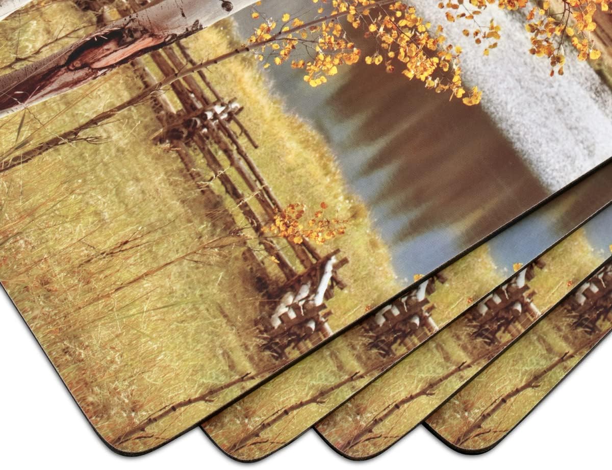Set of 4 Heat Resistant Cork-Backed Placemats E521