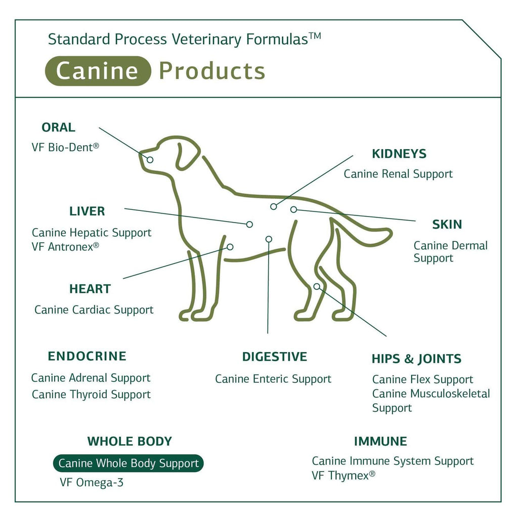 Canine Whole Body Support D87344