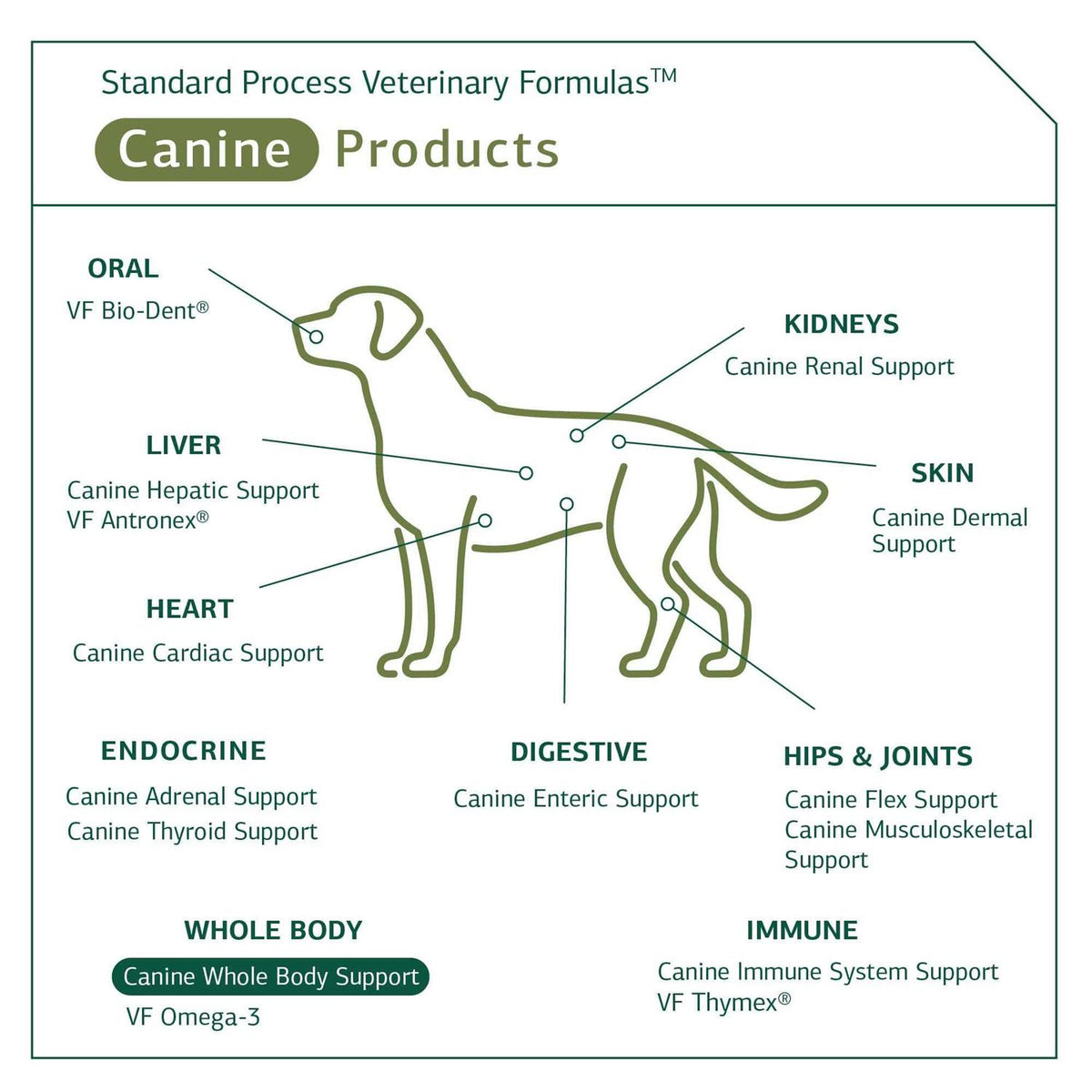 Canine Whole Body Support D87344