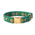 Cat Collar Dog Collar Cat Leash L39850