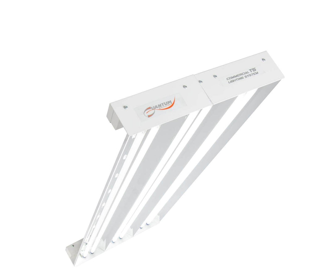 6 Bulb Fixture 324W Z781177