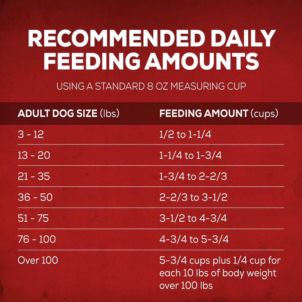 Savory Beef Dry Dog Food E693583
