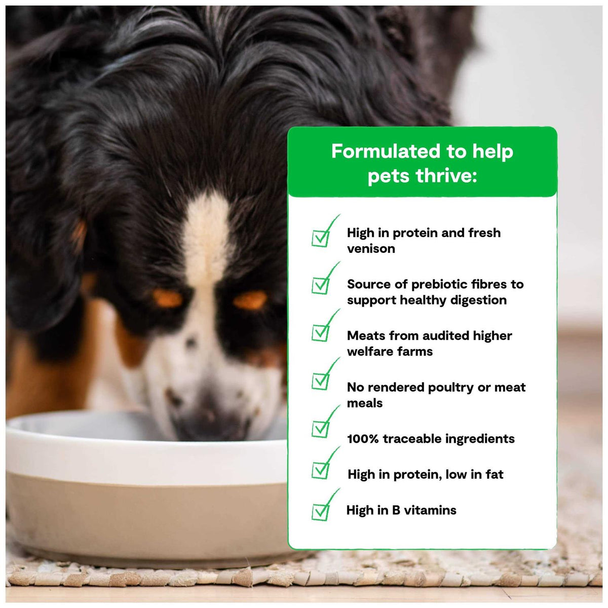 Grain Free Dry Dog Food Z18993