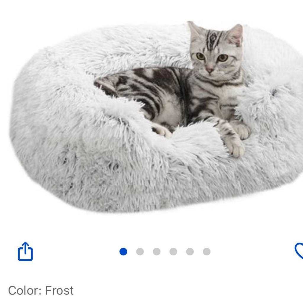 Rectangular Dog Bed T30941