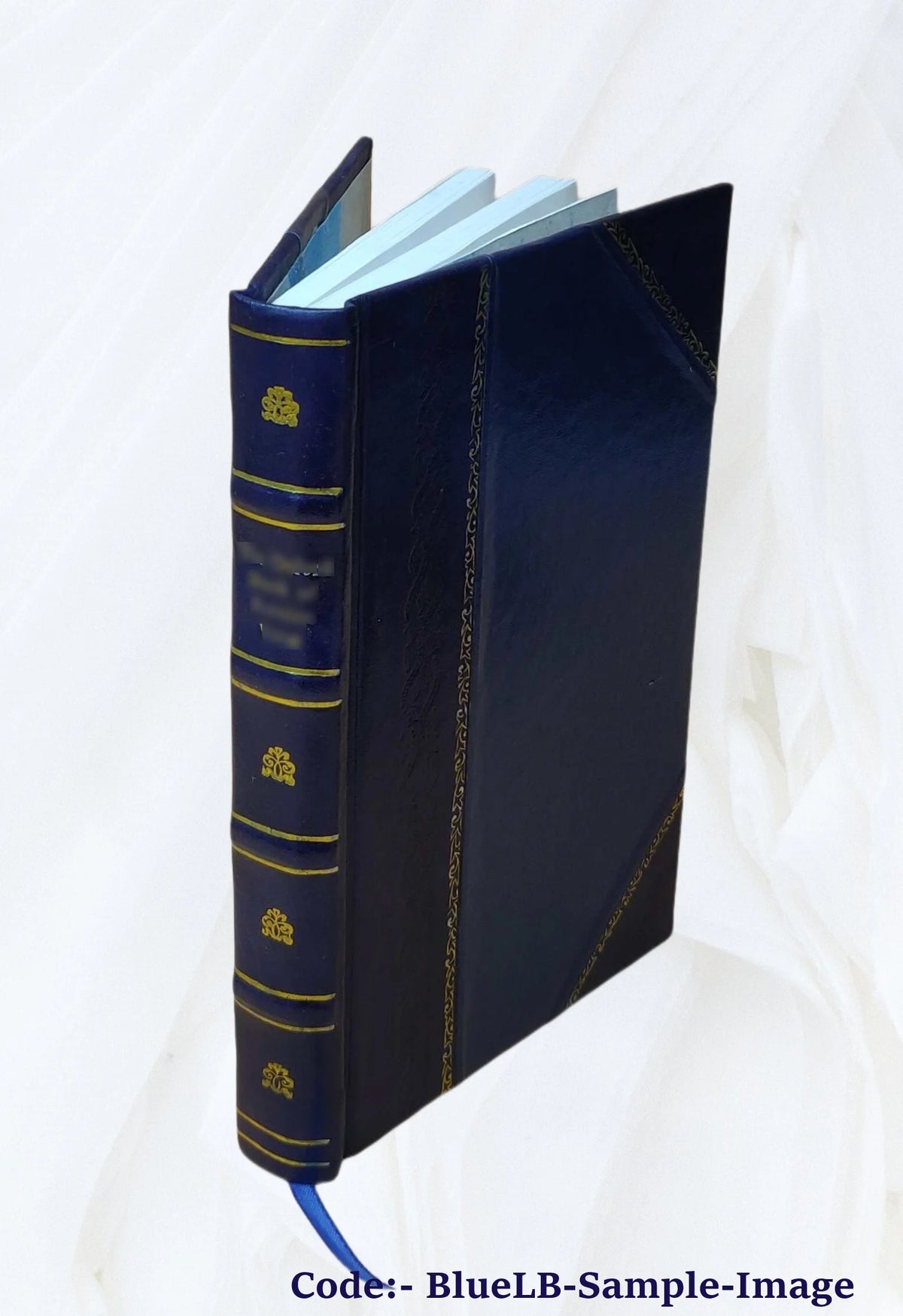 Memoirs of Mrs. Mary Ann Bise, Leather Bound B1263