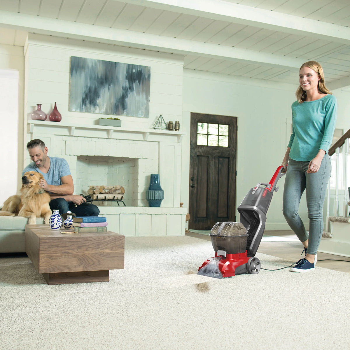 Carpet Cleaner B658