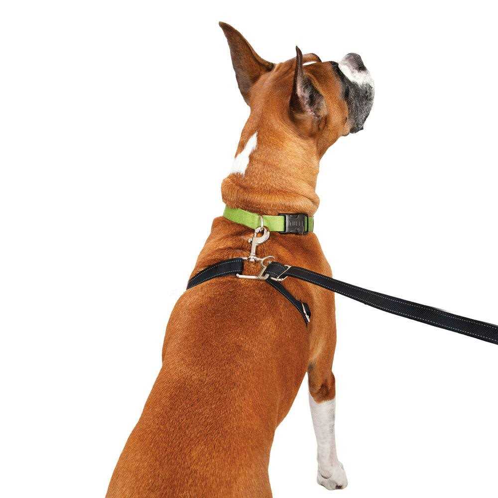 Retractable Dog Leash P43310