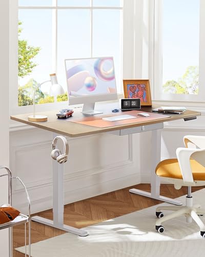 Electric Standing Desk with Drawer, 48 x 24 Adjustable Standing Desk with Storage F352694