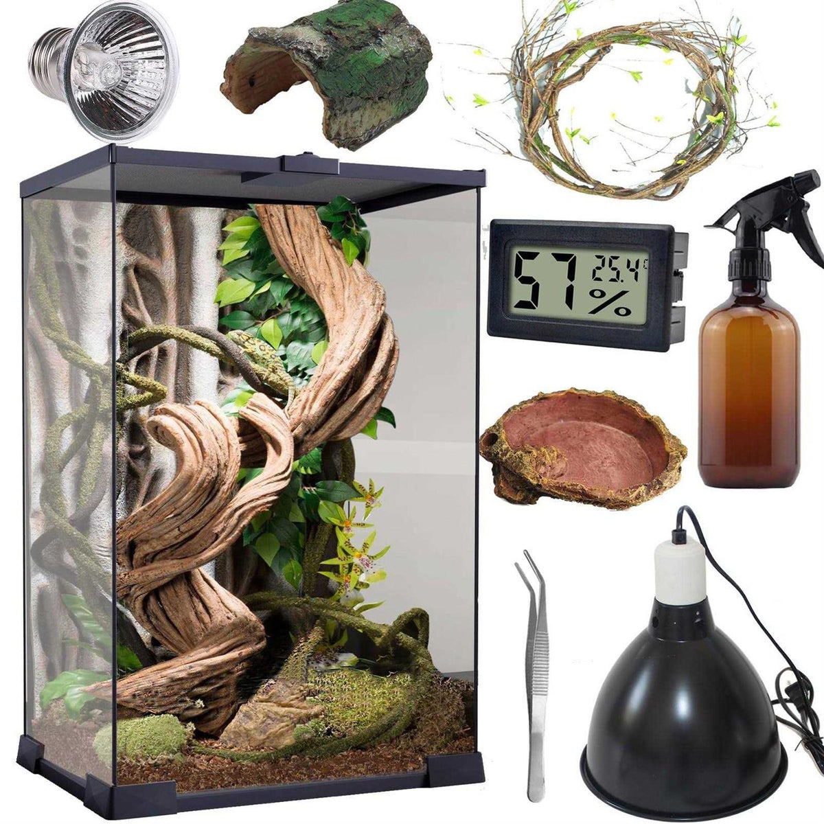 Reptile Terrarium 8 * 8 * 12 Amphibian Vertical Habitat Tank Starter Kit A9177