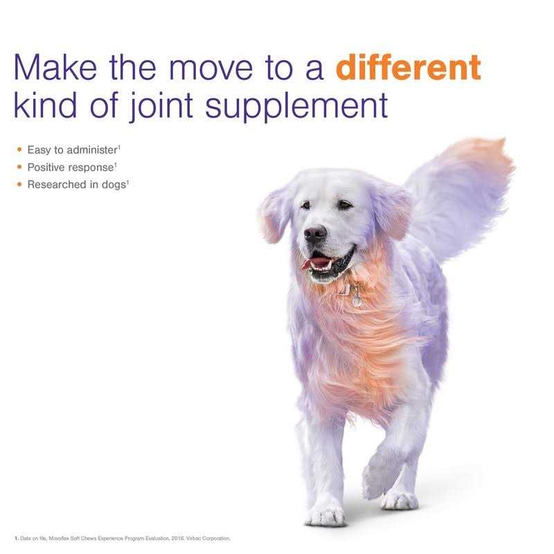 Joint Support Soft Chews for Dogs B195