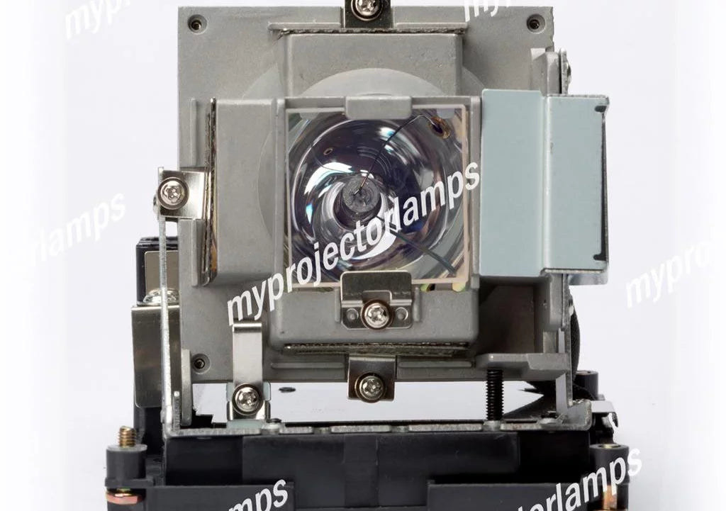 Projector Lamp with Module F979