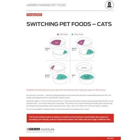 Dry Cat Food S98762