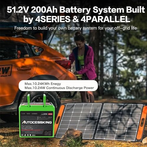 12V 100Ah LiFePO4 Lithium Battery with 100A BMS T388