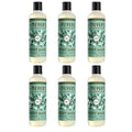 16 Fl OZ Bottle Basil Scented Body Wash, 6 Bottles N9539