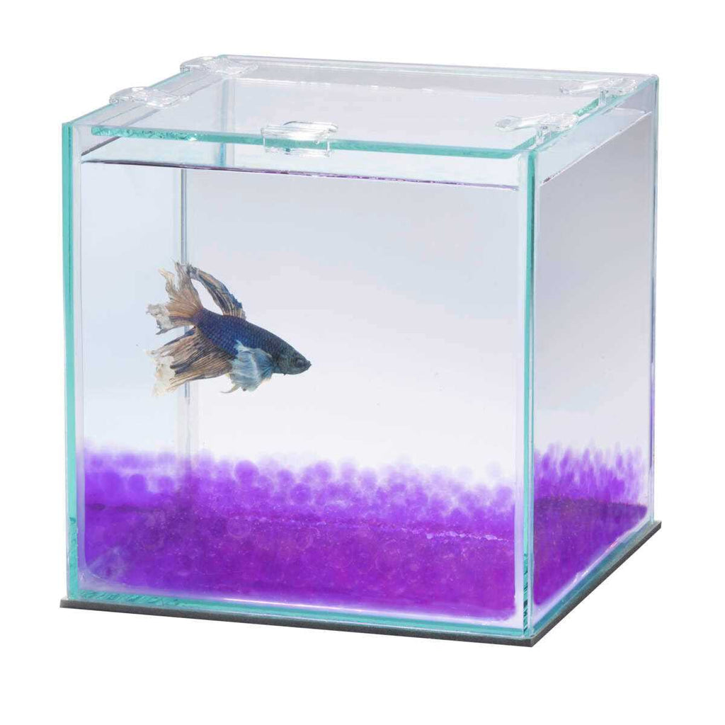 Betta Beads C965