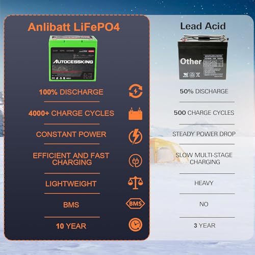 12V 100Ah LiFePO4 Lithium Battery with 100A BMS T388