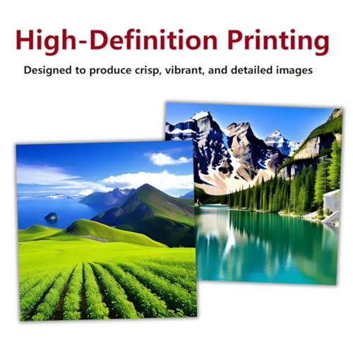 DTF T-Shirt Printer with DTF Ink and Powder Pack S1188
