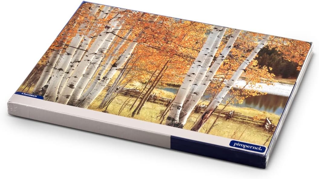 Set of 4 Heat Resistant Cork-Backed Placemats E521