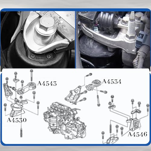 Set of 6 Engine Motor and Transmission Mount Kit Y4725