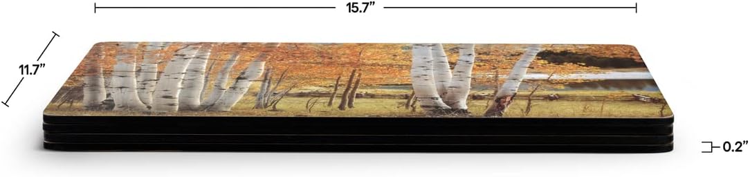 Set of 4 Heat Resistant Cork-Backed Placemats E521