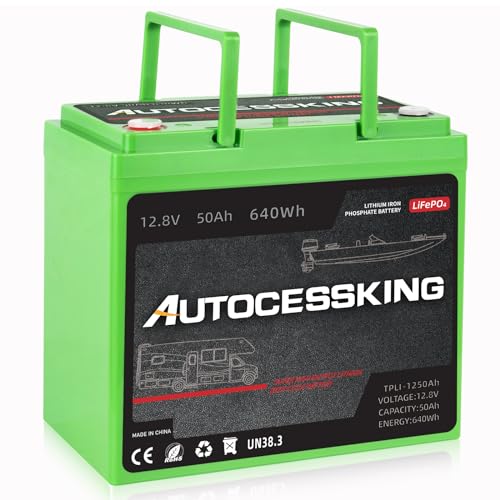 12V 100Ah LiFePO4 Lithium Battery with 100A BMS T388