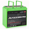 12V 100Ah LiFePO4 Lithium Battery with 100A BMS T388