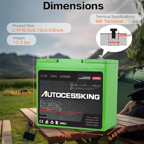 12V 100Ah LiFePO4 Lithium Battery with 100A BMS T388
