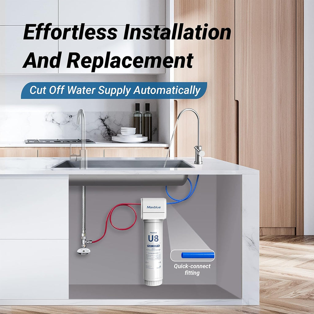 Under Sink Water Filter System with Stainless Steel Faucet N873