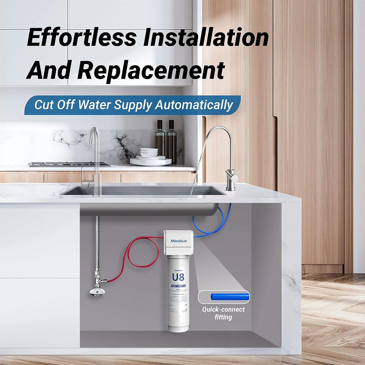 Under Sink Water Filter System with Stainless Steel Faucet N873