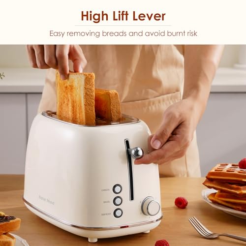 2 Slice Retro Stainless Steel Toaster with Extra Wide Slot T79087