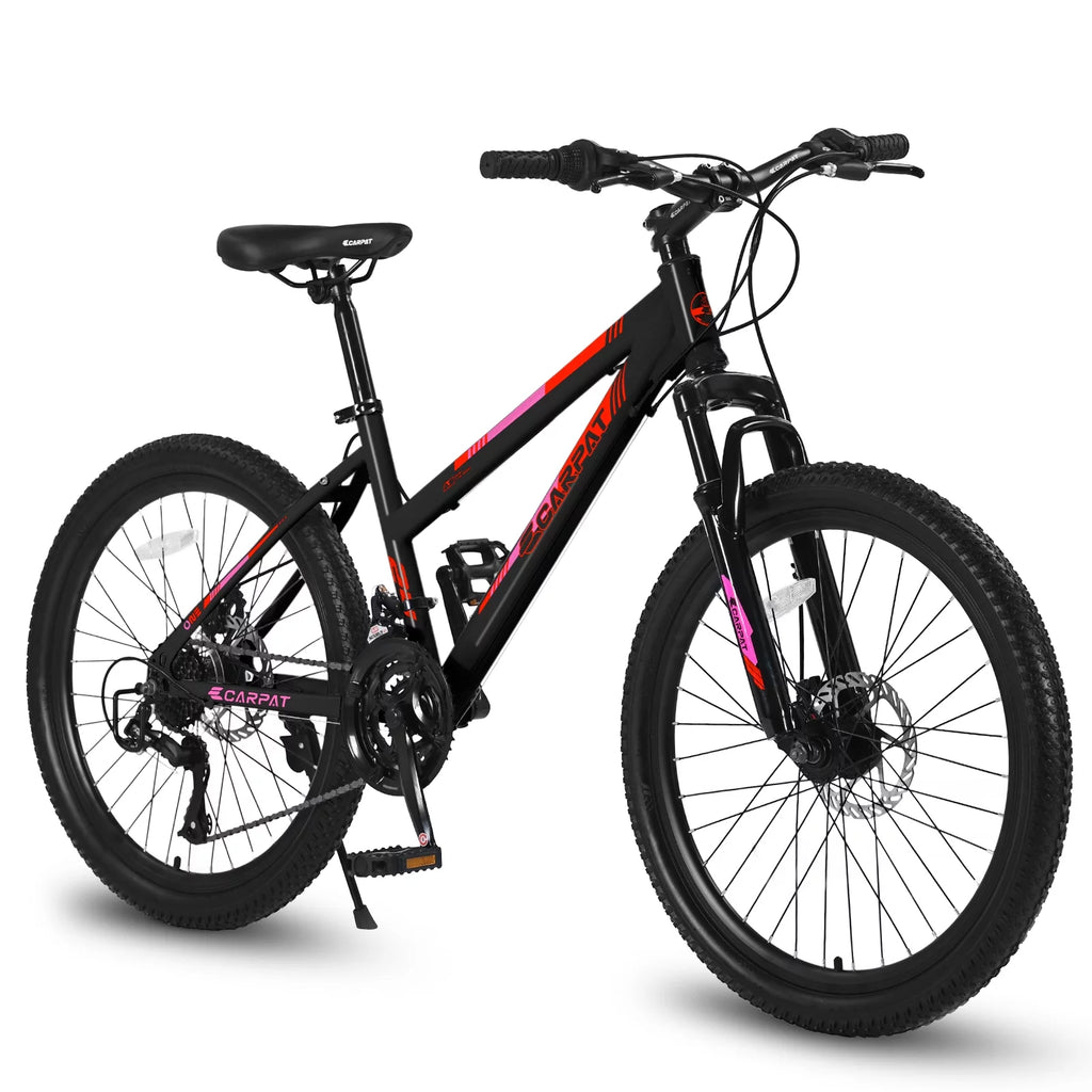 Blue 21-Speed Disc Brakes Mountain Bike Q199966