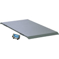 Floor Scale R3492