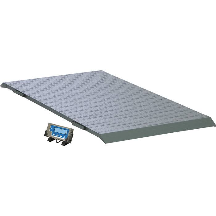 Floor Scale R3492