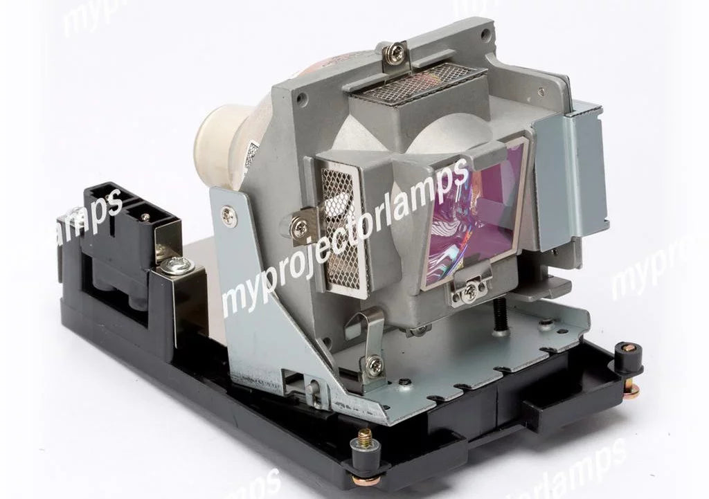 Projector Lamp with Module F979