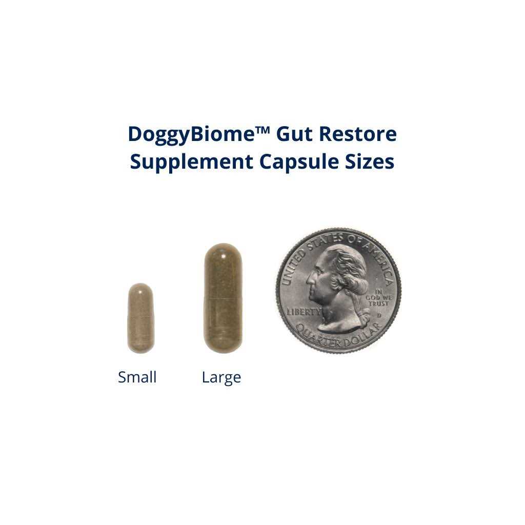 30 Capsules Supplement S8901