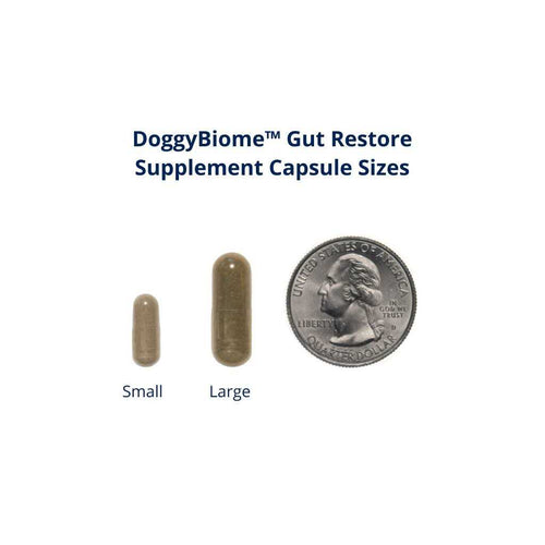 30 Capsules Supplement S8901