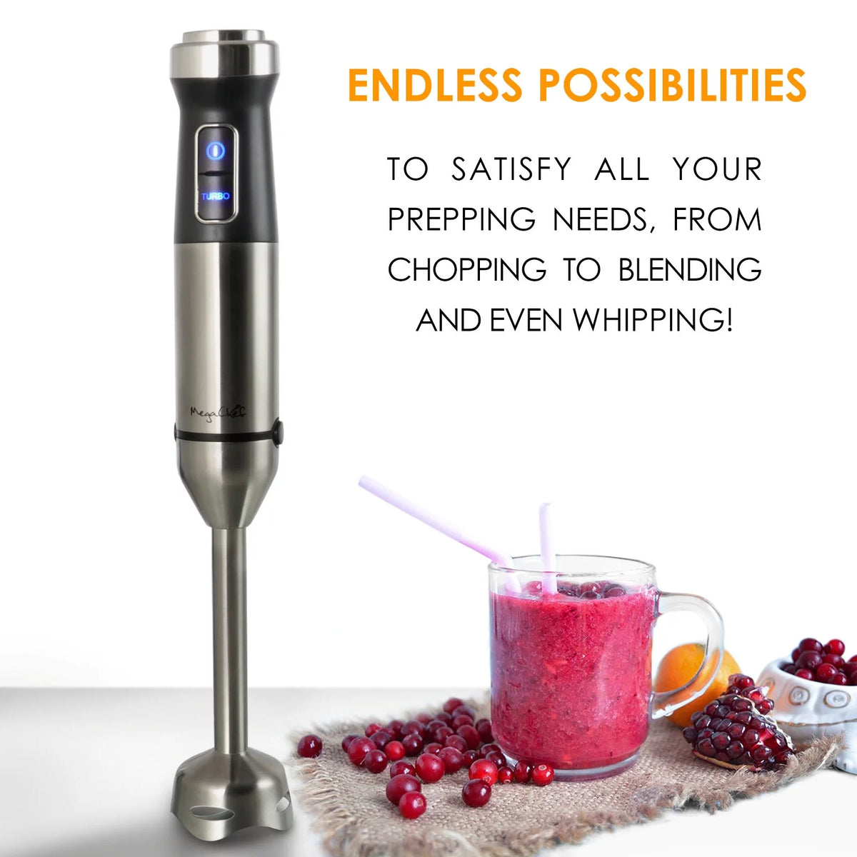 4 in 1 Immersion Hand Blender with Speed Control and Accessories A6279