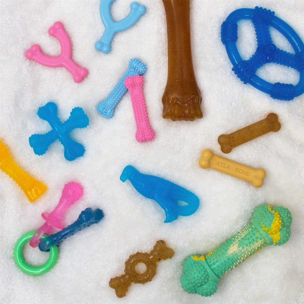 Puppy Chew Toy U250