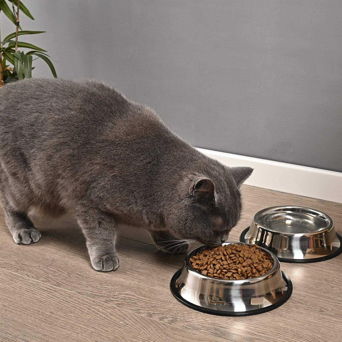 2 Packs Stainless Steel Dog Bowl with Anti-Skid Rubber Base K74444