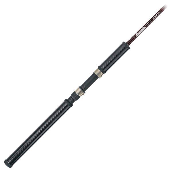 Salmon/Steelhead Spinning Rod R812384