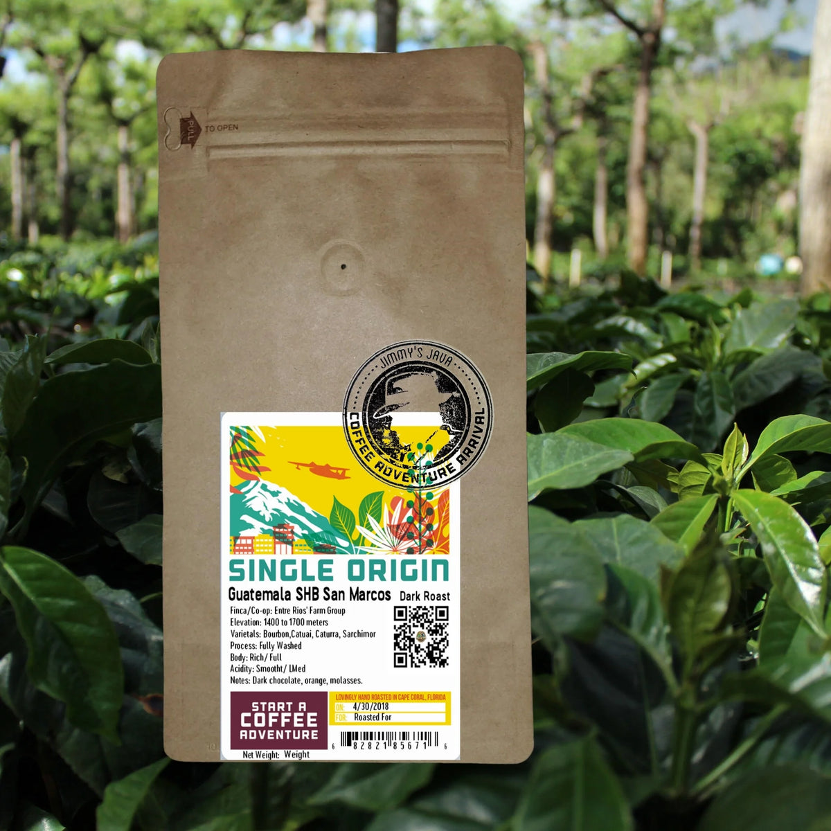 Dark Roast Coffee Y92092
