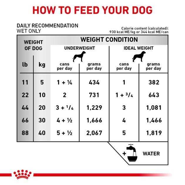 Adult Renal Support Thin Slices in Gravy Canned Dog Food F5254