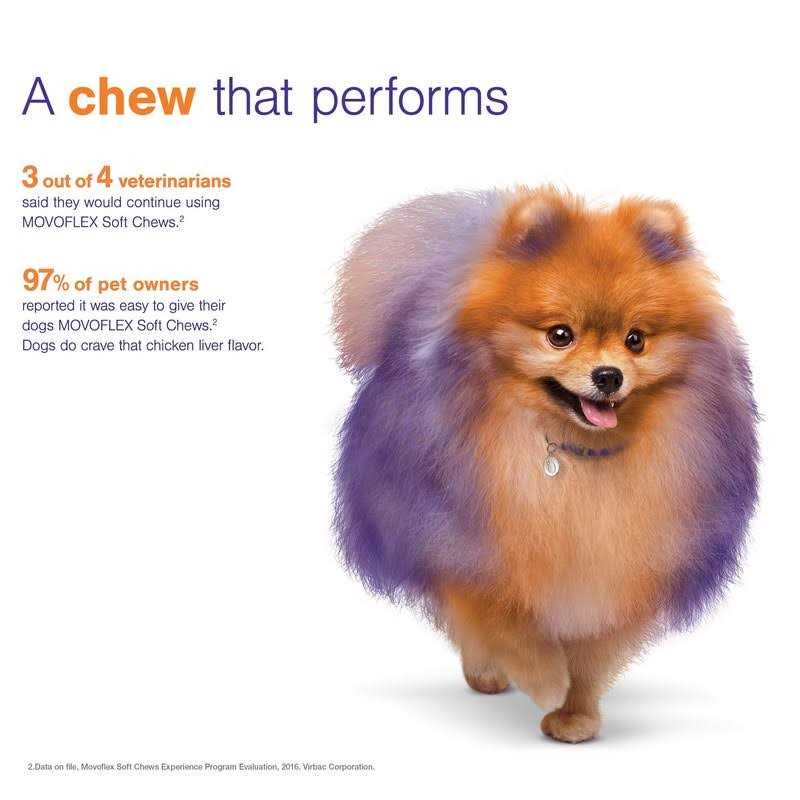 Joint Support Soft Chews for Dogs B195