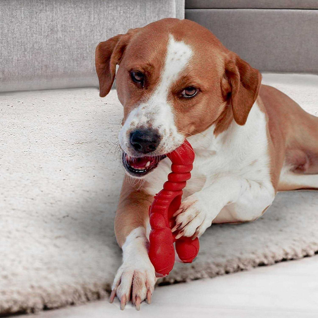 Power Chew Lobster Dog Toy A7612