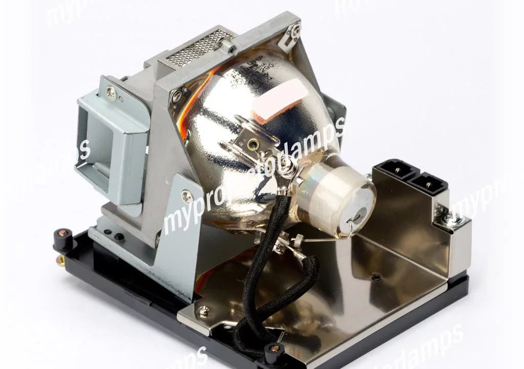 Projector Lamp with Module F979