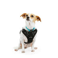 Black Front Walking Dog Harness D3371
