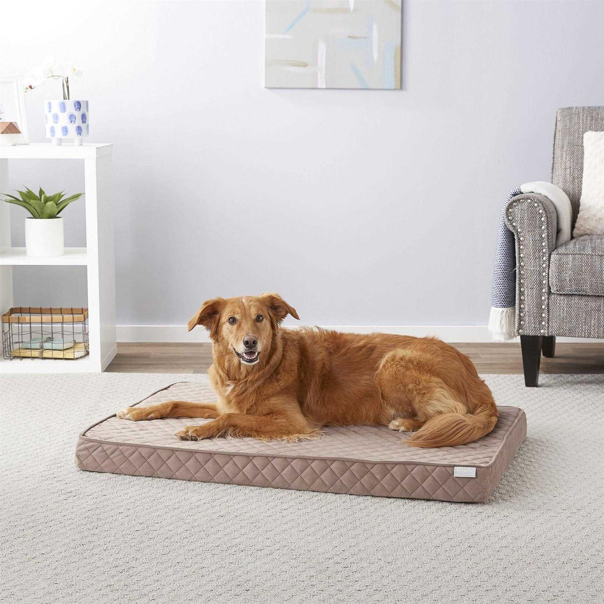 Quilted Orthopedic Cat Dog Bed with Removable Cover M390
