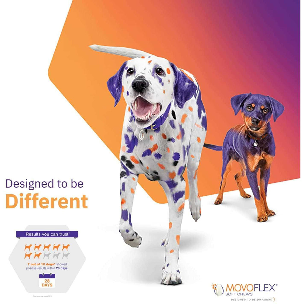 Joint Support Soft Chews for Dogs B195