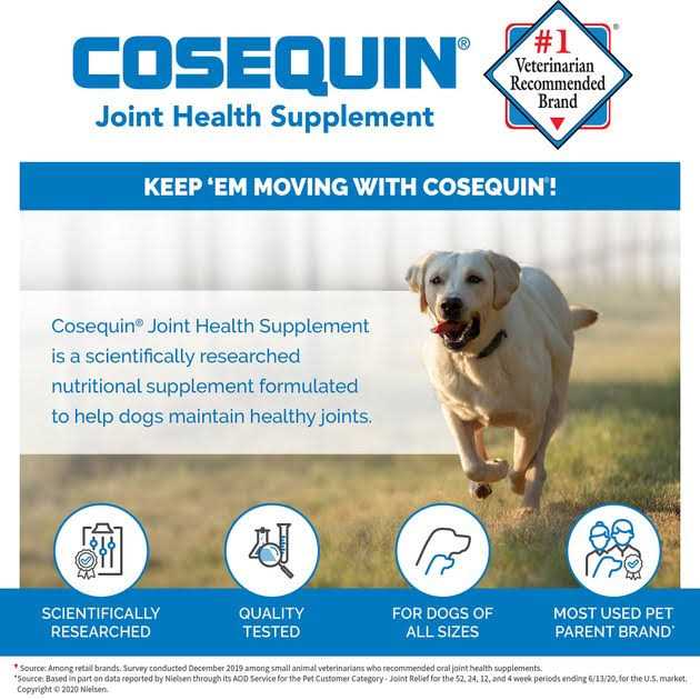 Cosequin DS for Dogs E1088