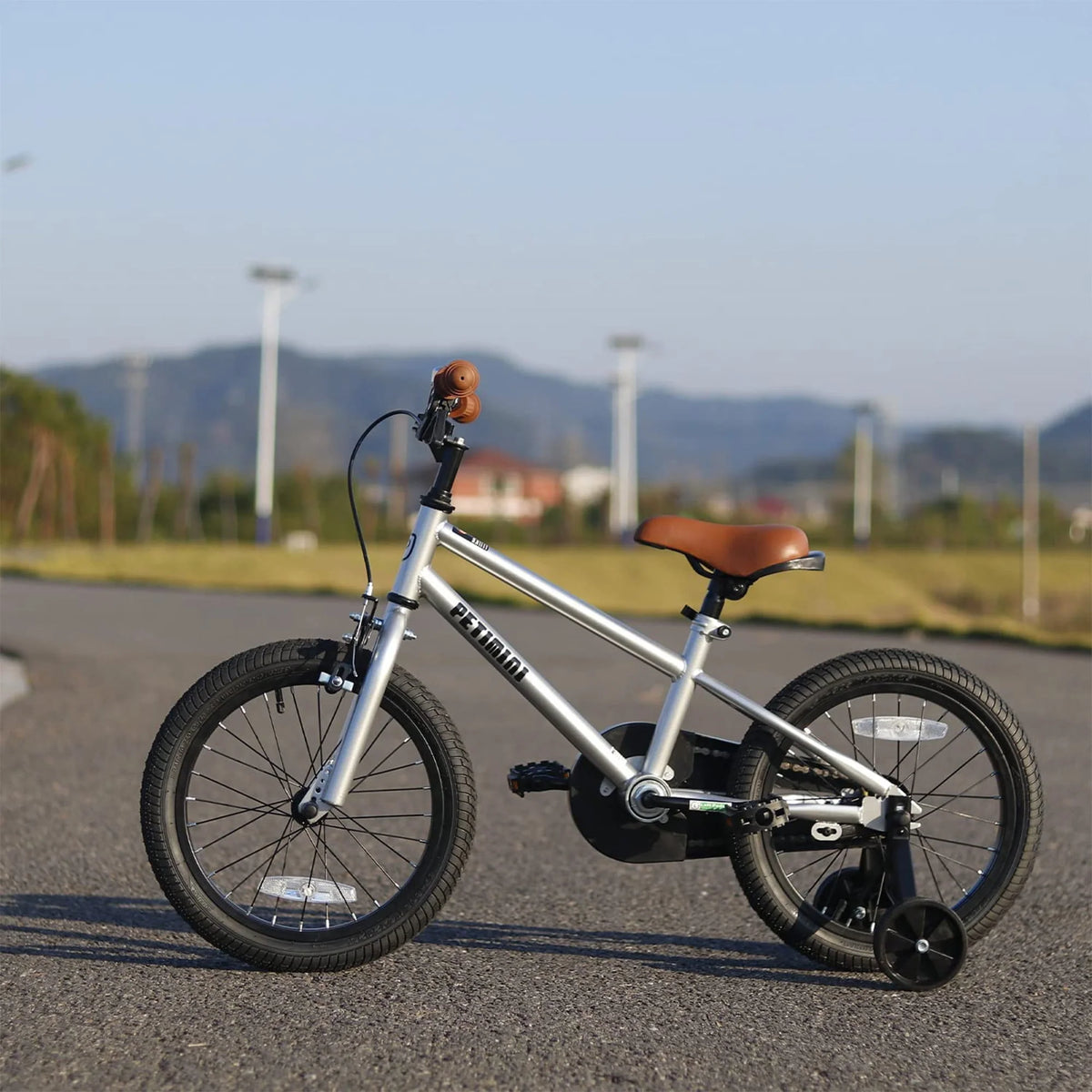16 Inch BMX Kids Bike with Training Wheels W418038